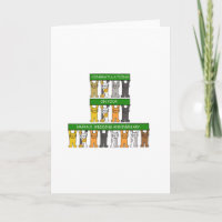 Aniversario de bodas de esmeralda 55 años gatos li