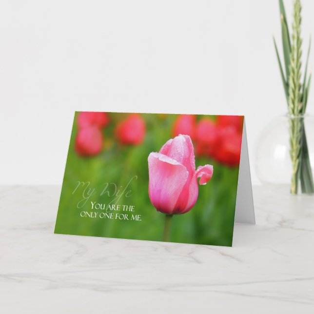 Tarjeta Aniversario de esposa con tulipán rosa (Anverso)