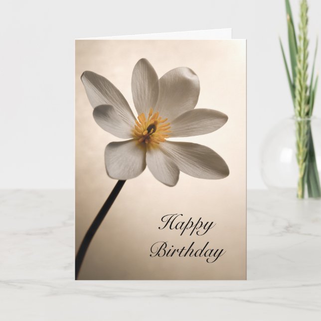 Tarjeta Aniversario de la Flor Silvestre Blanca (Anverso)
