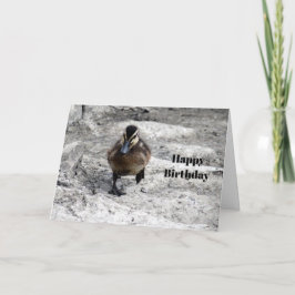 Tarjeta Aniversario de la foto de Mallard Duckling