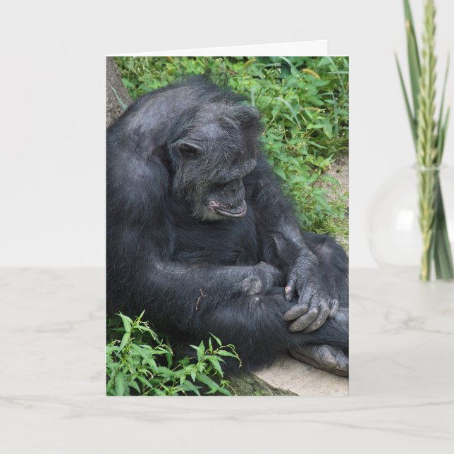 Tarjeta Aniversario de la muerte de Chimpanzee (Anverso)