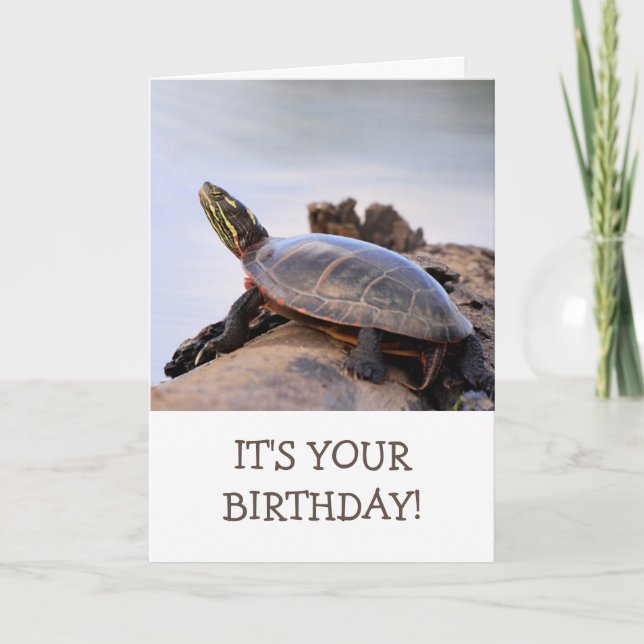 Tarjeta Aniversario de la Naturaleza de la Tortuga Pintada (Anverso)