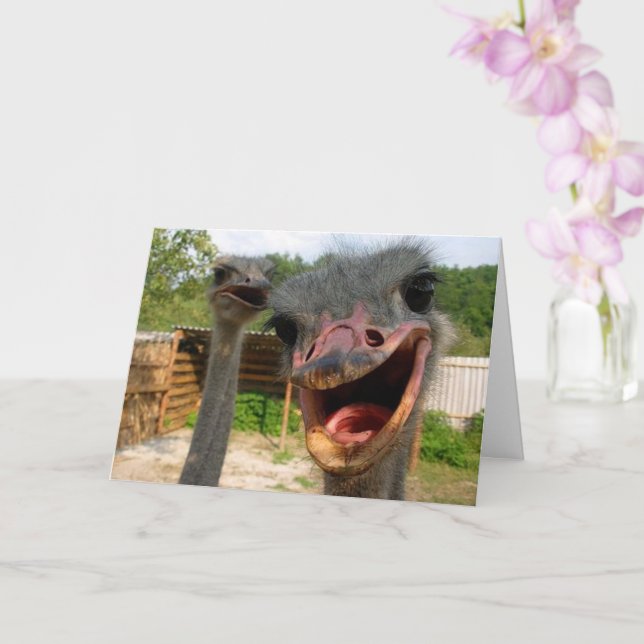 Tarjeta Aniversario de la Pareja de Pájaros de Ostrich div (Orquídea)