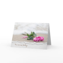 Aniversario De Las Rosas Rosa En La Playa