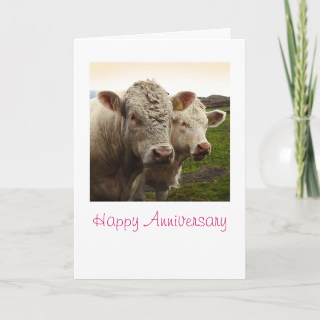 Tarjeta Aniversario de las vacas (Anverso)