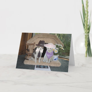 Tarjeta Aniversario de los gatos graciosos del personaliza