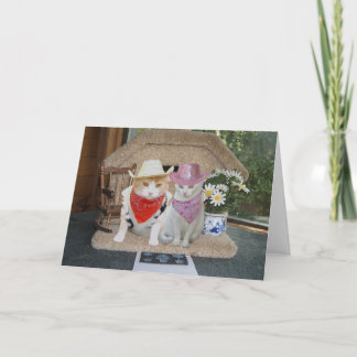 Tarjeta Aniversario de los gatos graciosos del personaliza