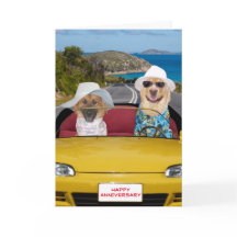 Aniversario de los perros pequeños