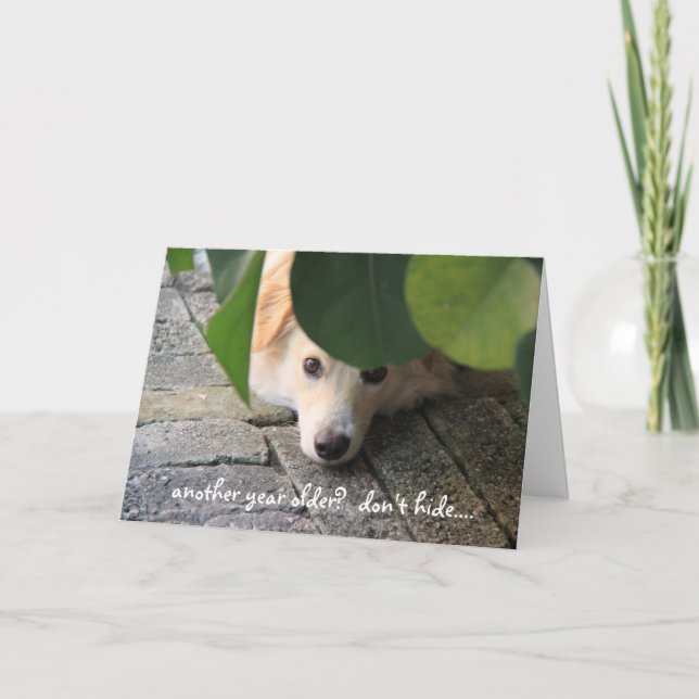 Tarjeta Aniversario de Perro, sobre la colina, ¡qué maravi (Anverso)