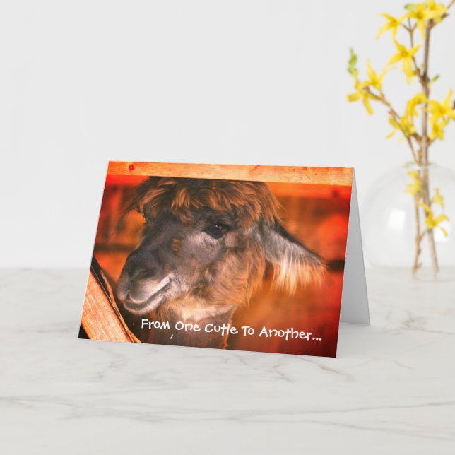 Tarjeta Aniversario de un animal de la llamada cuta (flor amarilla)