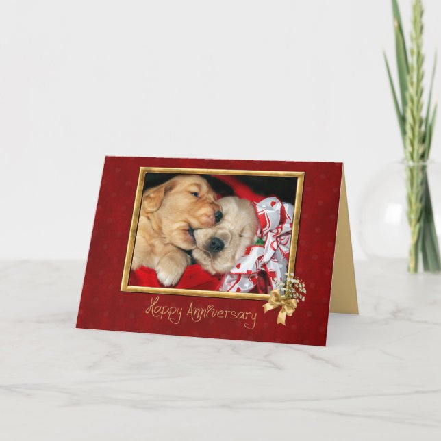 Tarjeta Aniversario del amor del cachorro de Golden Retrie (Anverso)