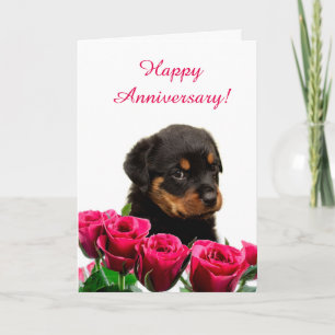 Tarjeta Aniversario del Rosa Cute Rottweiler Puppy