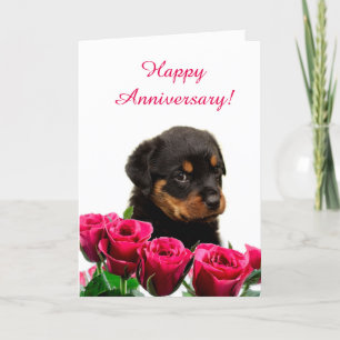 Tarjeta Aniversario del Rosa Cute Rottweiler Puppy
