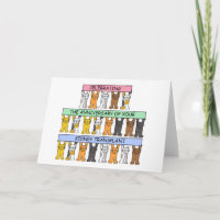 Aniversario del trasplante de riñones Gatos Person