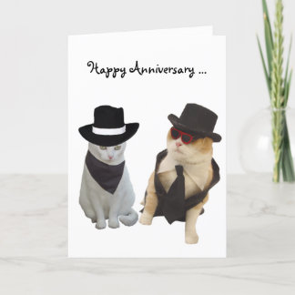 Tarjeta Aniversario divertido de gatos