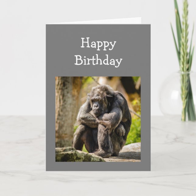 Tarjeta Aniversario divertido joven de un gorila deprimido (Anverso)