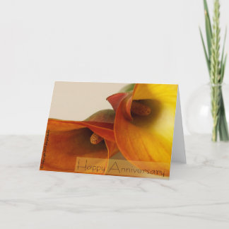 Tarjeta Aniversario feliz