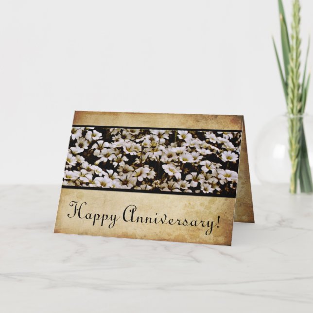 Tarjeta Aniversario feliz aumentado de Dasies (Anverso)