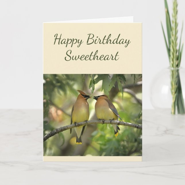 Tarjeta Aniversario feliz Aves enamoradas divertidas (Anverso)