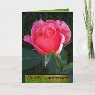 Tarjeta Aniversario feliz color de rosa rosado