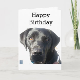 Tarjeta Aniversario feliz de la recuperación del labrador