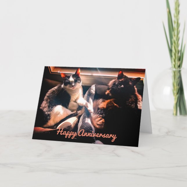 Tarjeta Aniversario feliz - Gatos felices juntos (Anverso)