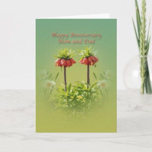 Tarjeta Aniversario, Mamá y Papá, Tulipanes Rojo Rubra
