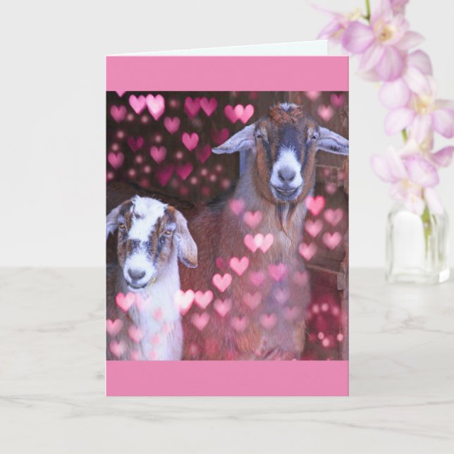 Tarjeta Aniversario Romántico De Cabras Y Corazones (Orquídea)
