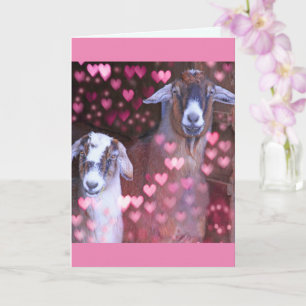Tarjeta Aniversario Romántico De Cabras Y Corazones