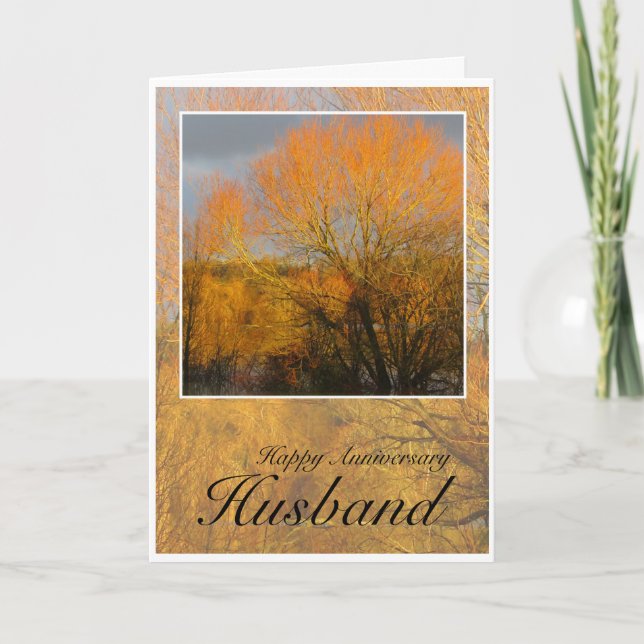 Tarjeta Anniversary Husband, Sunkissed Winter Trees. (Anverso)