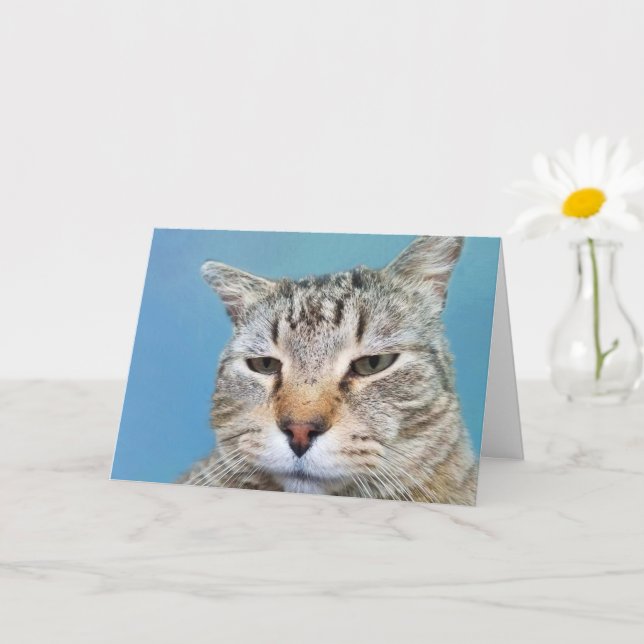 Tarjeta Annoyed Cat Cancer Animation (Planta pequeña)