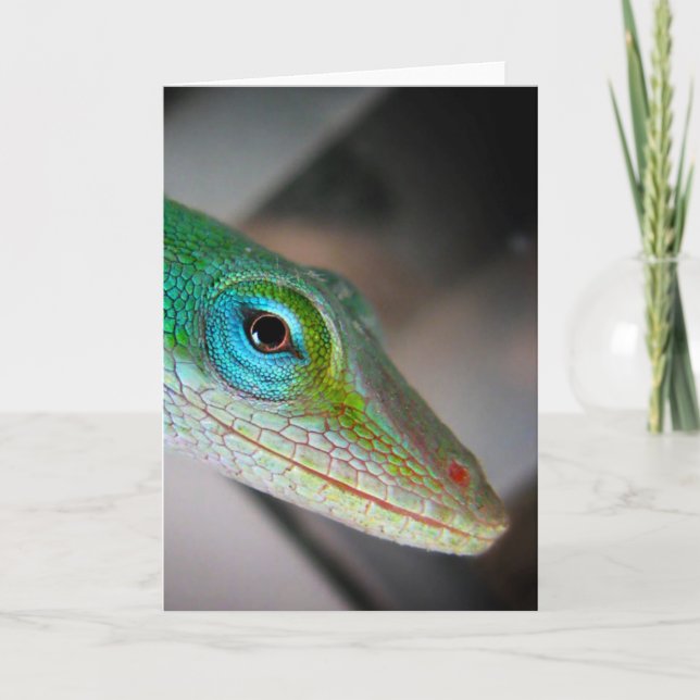 Tarjeta Anole Lizard (Anverso)