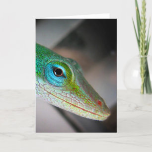 Tarjeta Anole Lizard
