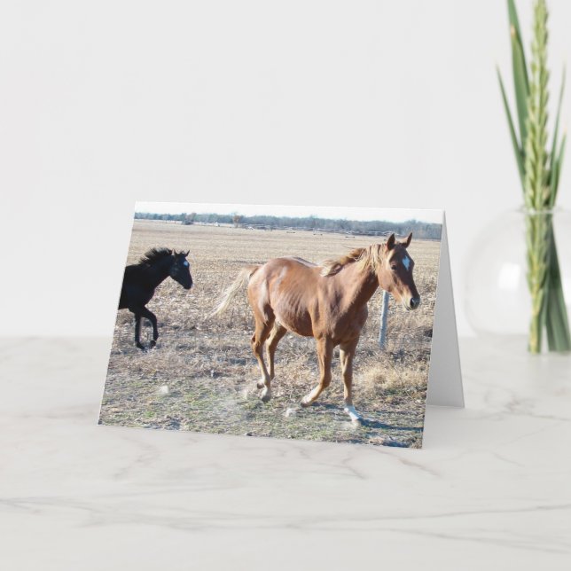 Tarjeta Años (Anverso)