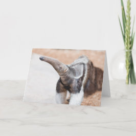 Tarjeta Anteater gigante