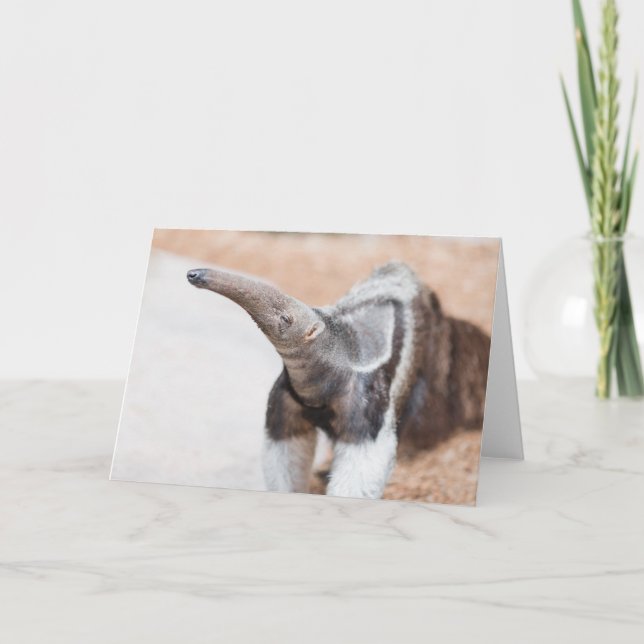 Tarjeta Anteater gigante (Anverso)