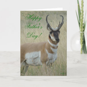 Tarjeta Antelope A9 Pronghorn Big Buck