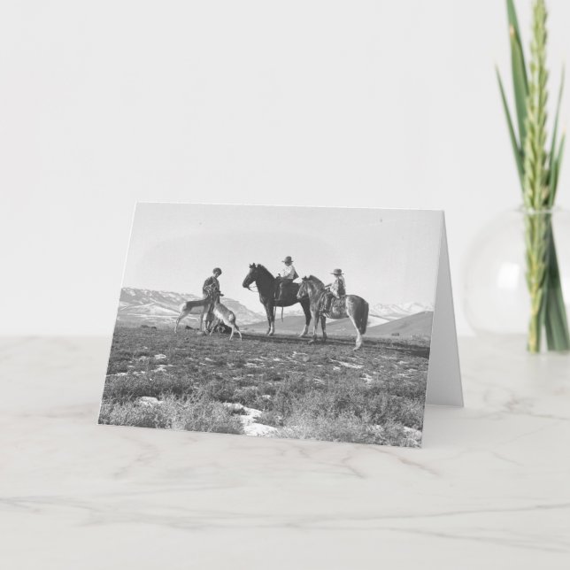 Tarjeta Antelopes de Petting. (Anverso)