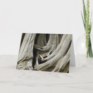 Tarjeta antigua del corazón del árbol