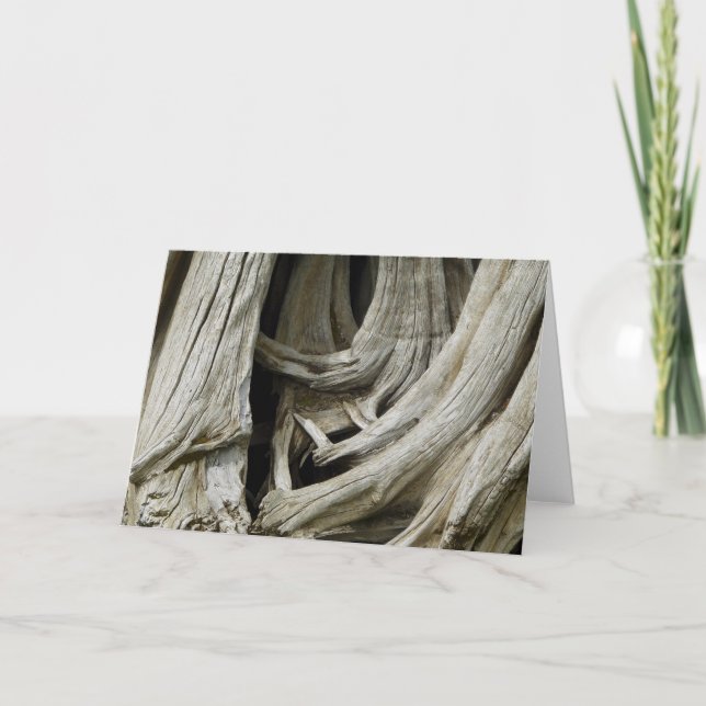 Tarjeta antigua del corazón del árbol (Anverso)