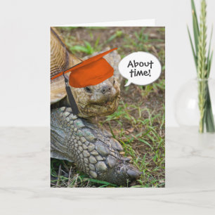 Tarjeta Antiguo Graduado de Tortoise con gorro Naranja