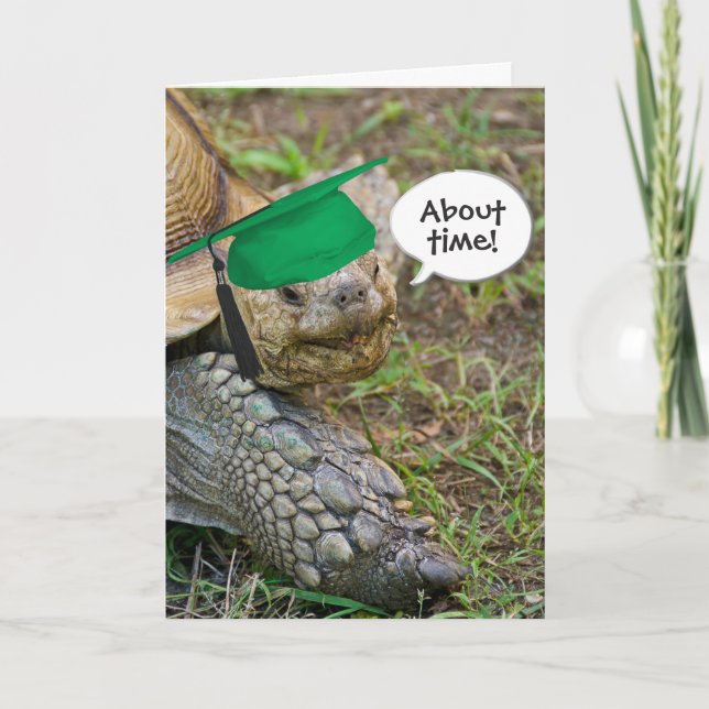Tarjeta Antiguo Graduado de Tortuga con Gorra Verde (Anverso)