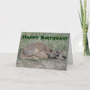 Tarjeta Antílope de Pronghorn del bebé A6