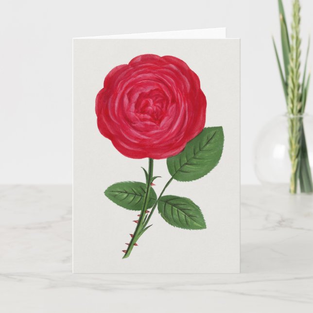 Tarjeta Antique Rose Lithograph, François-Frédéric Grobon (Anverso)