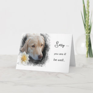 Tarjeta *~ AP61 Flor Enferma Póstrate Triste Perro