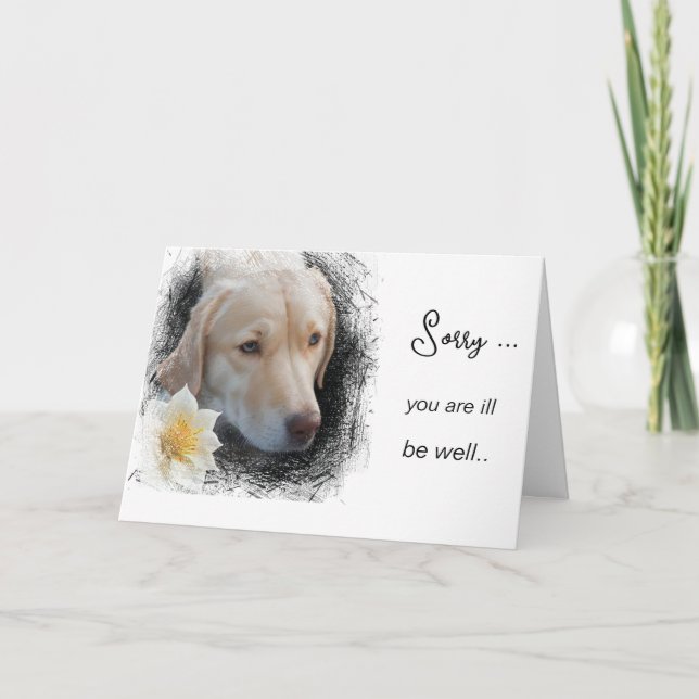 Tarjeta *~ AP61 Flor Enferma Póstrate Triste Perro (Anverso)