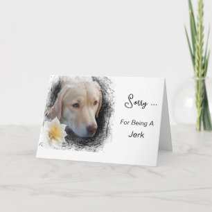 Tarjeta *~* AP61 Triste Lab Retriever Flor Mensaje