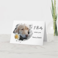 *~ AP61 Triste Lab Retriever Flor Te Extraño Date 