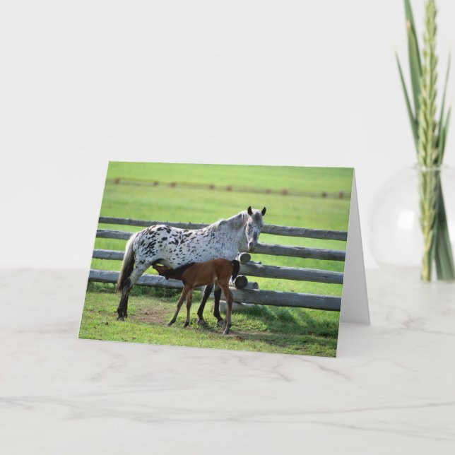 Tarjeta Apaloosa Mare y Caballos de Colt (Anverso)