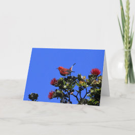 Tarjeta 'Apapane Pequeño Pájaro Rojo